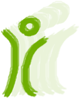 Selbstwertkinesiologie, Selbstwert-Kinesiologie, Logo klopfakupunktur.info